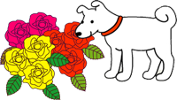 犬と薔薇-blog.png